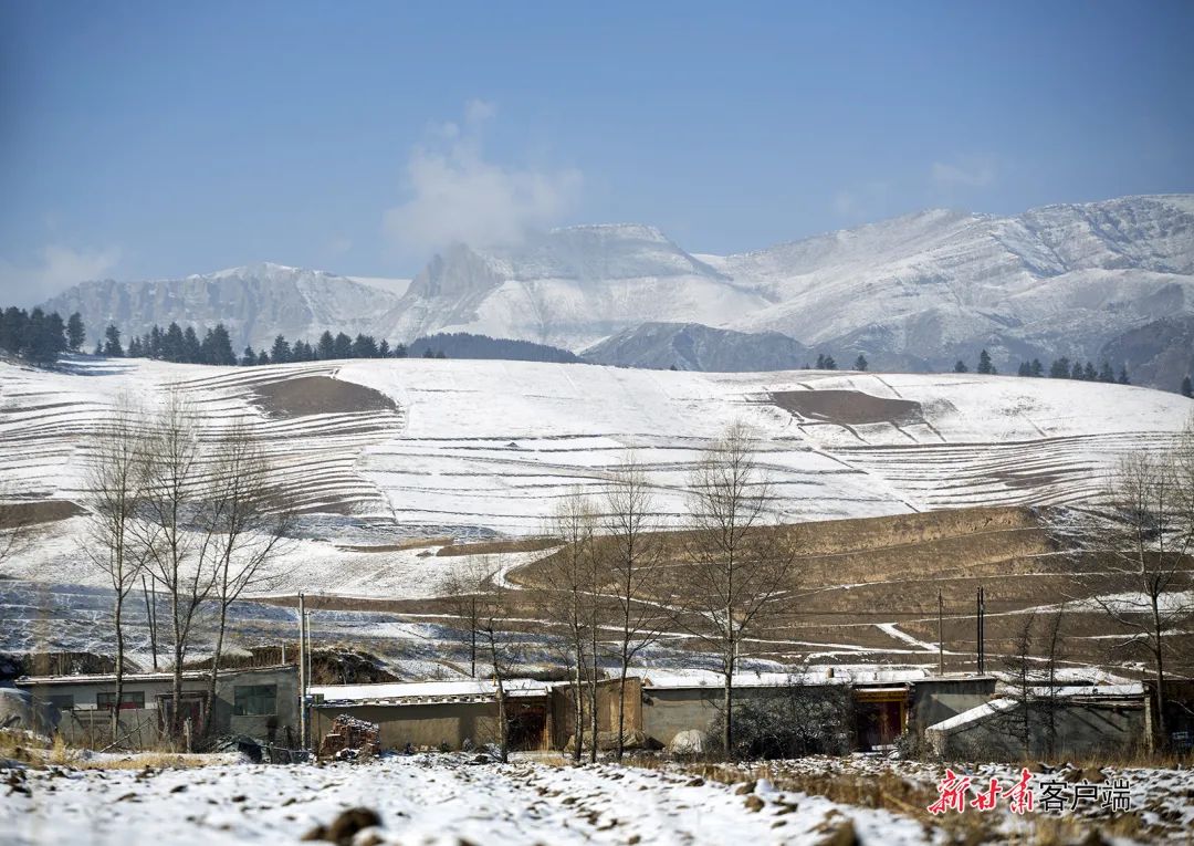 冬季到天祝哈溪林区来看雪