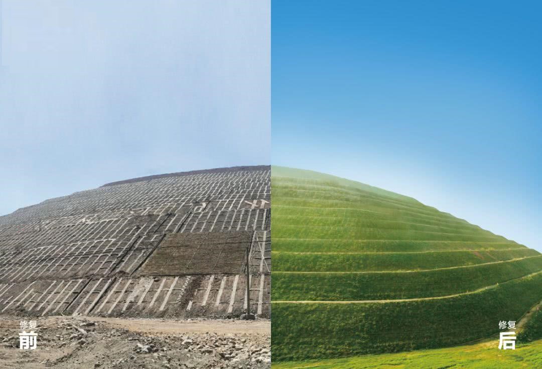 三维植被网护坡为立体结构