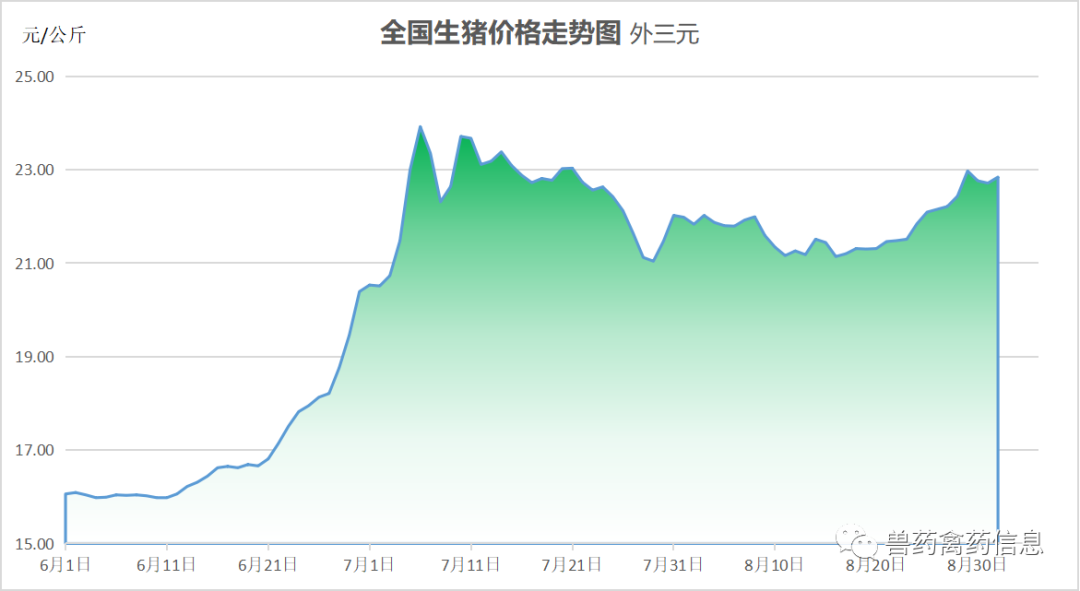 今日豬價,9月1日各省生豬價格漲跌表,穩中求進