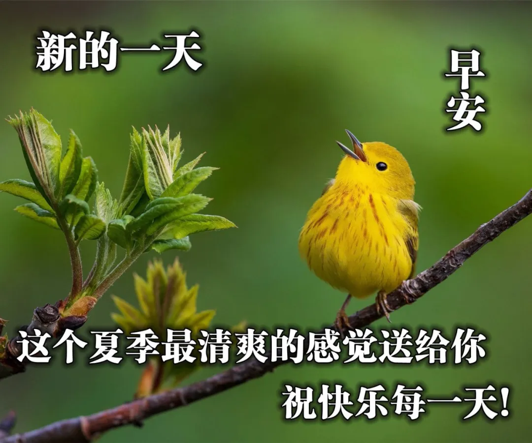 五月初九星期一早晨好优美图片带字,很优质的早安问候句子