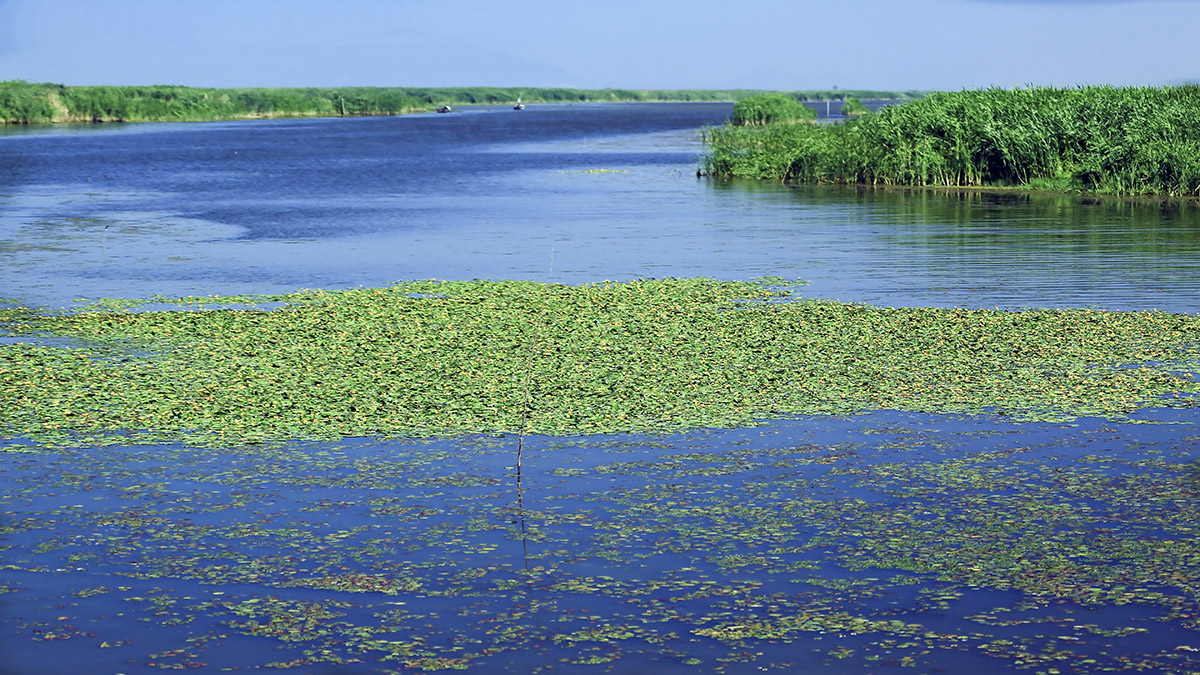 山东省第二大淡水湖,蓄水总量3亿立方米