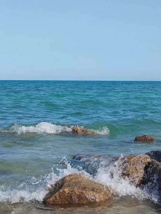 我70后河南人,科威特打工,月薪20000变2000,没钱回家绝处逢生