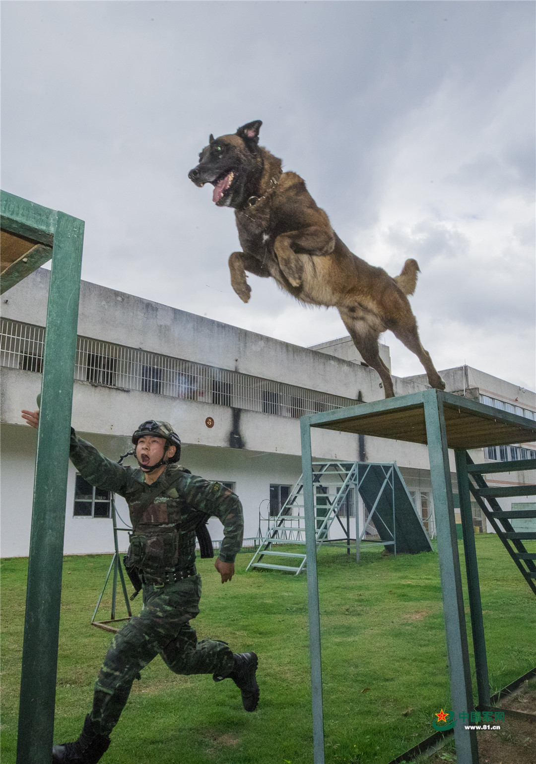 士兵和军犬背景图片图片