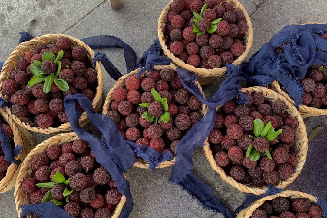 确认过甜度!苏州树山杨梅,上市了!价格