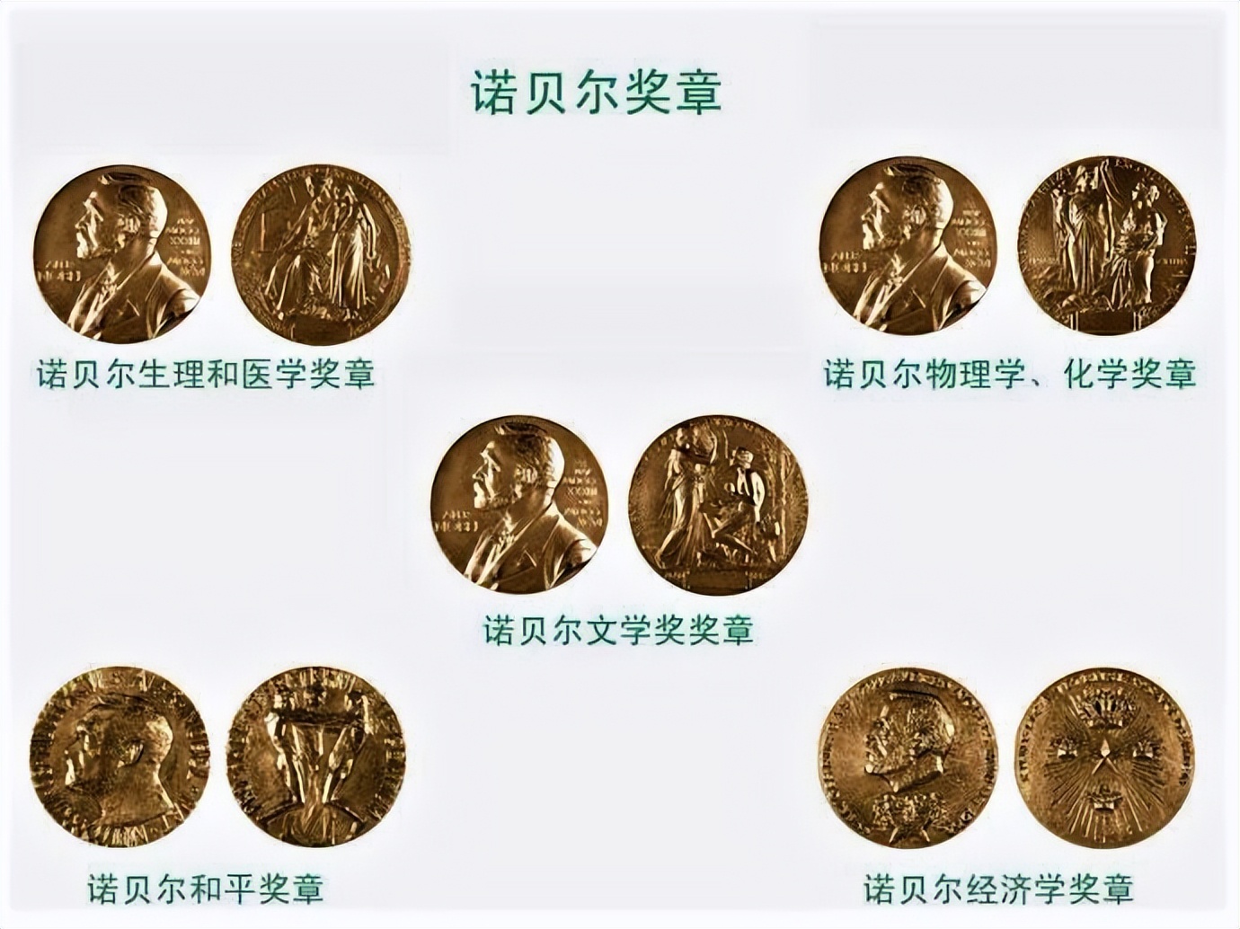 为何诺贝尔奖发了120年,奖金还没用完?