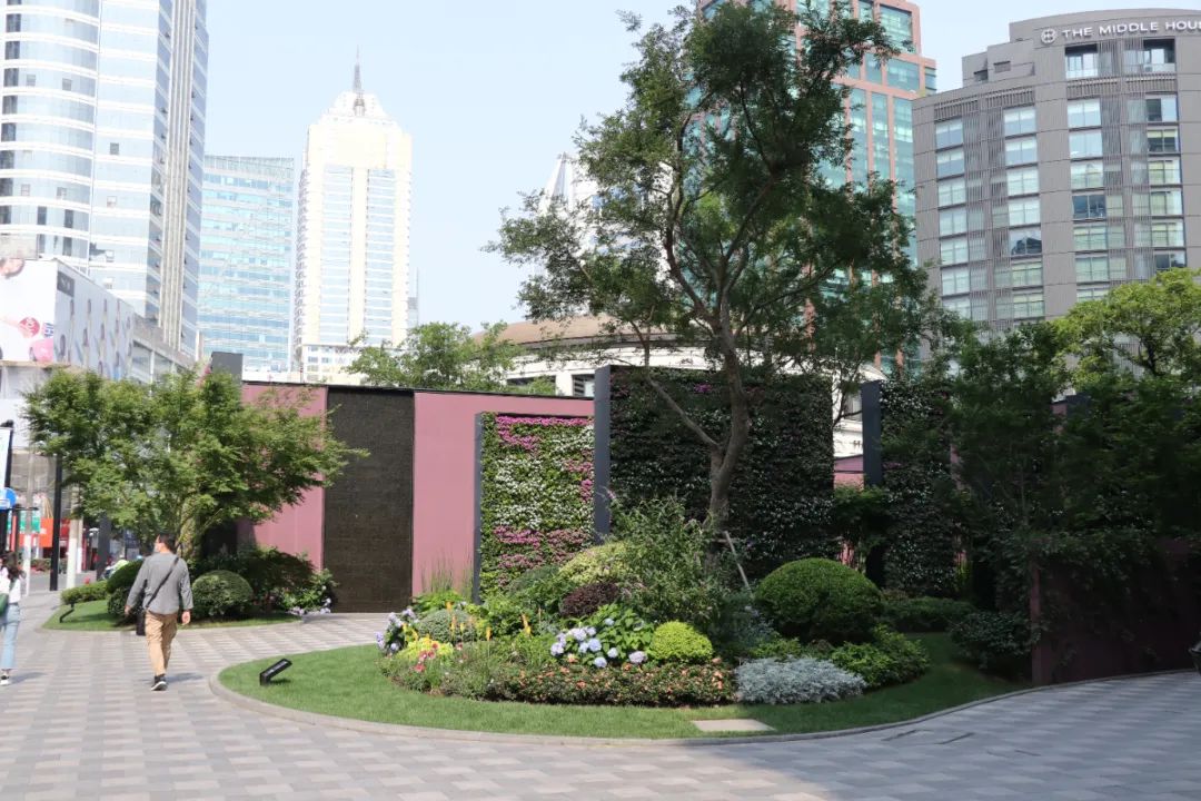 街心花园⑤ | 曲径通幽,闹中取静——石南绿地