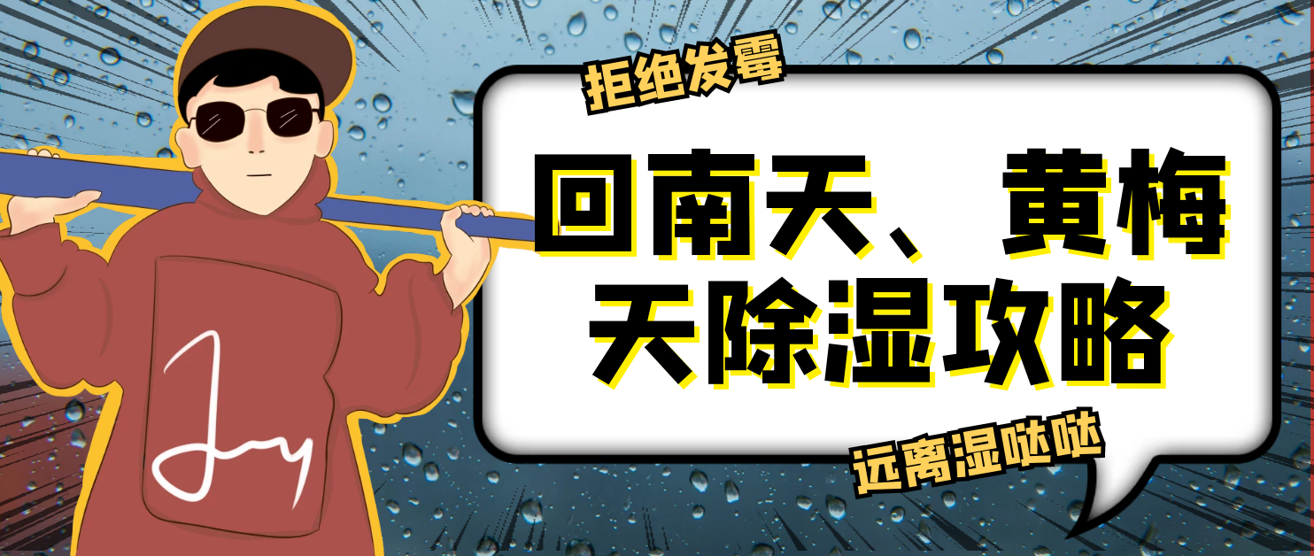 回南天如何应对?这两款除霉除湿好物,划算又实用!