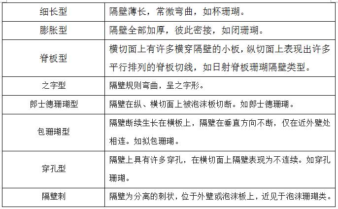 四射珊瑚化石图片