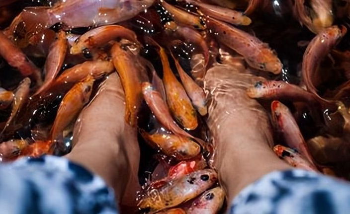 记得之前有位女士尝试了全身浸泡式的温泉鱼疗,结果仅仅十分钟,皮肤