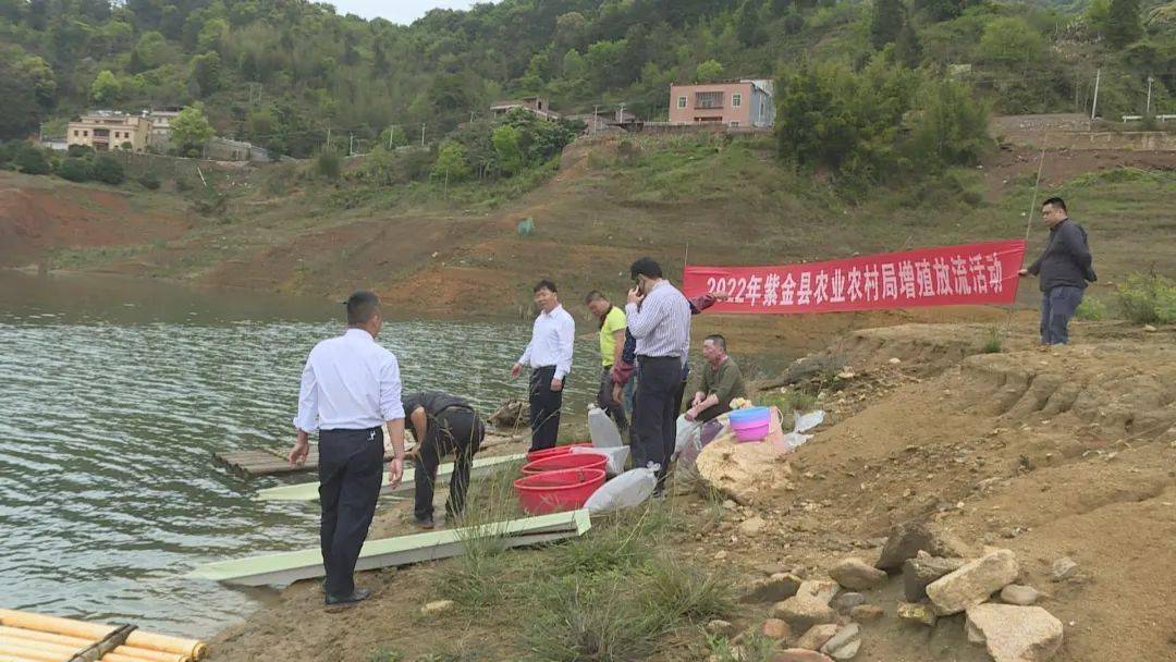34万尾鱼苗增殖放流!保护河源紫金生态,从"鱼"开始