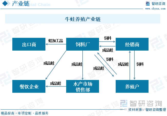 牛蛙养殖技术成本图片