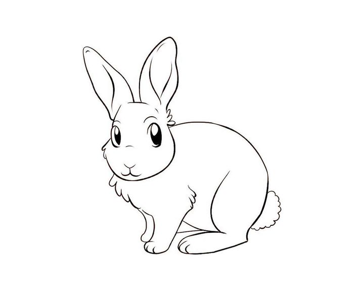 卡通小兔子简笔画素描图片