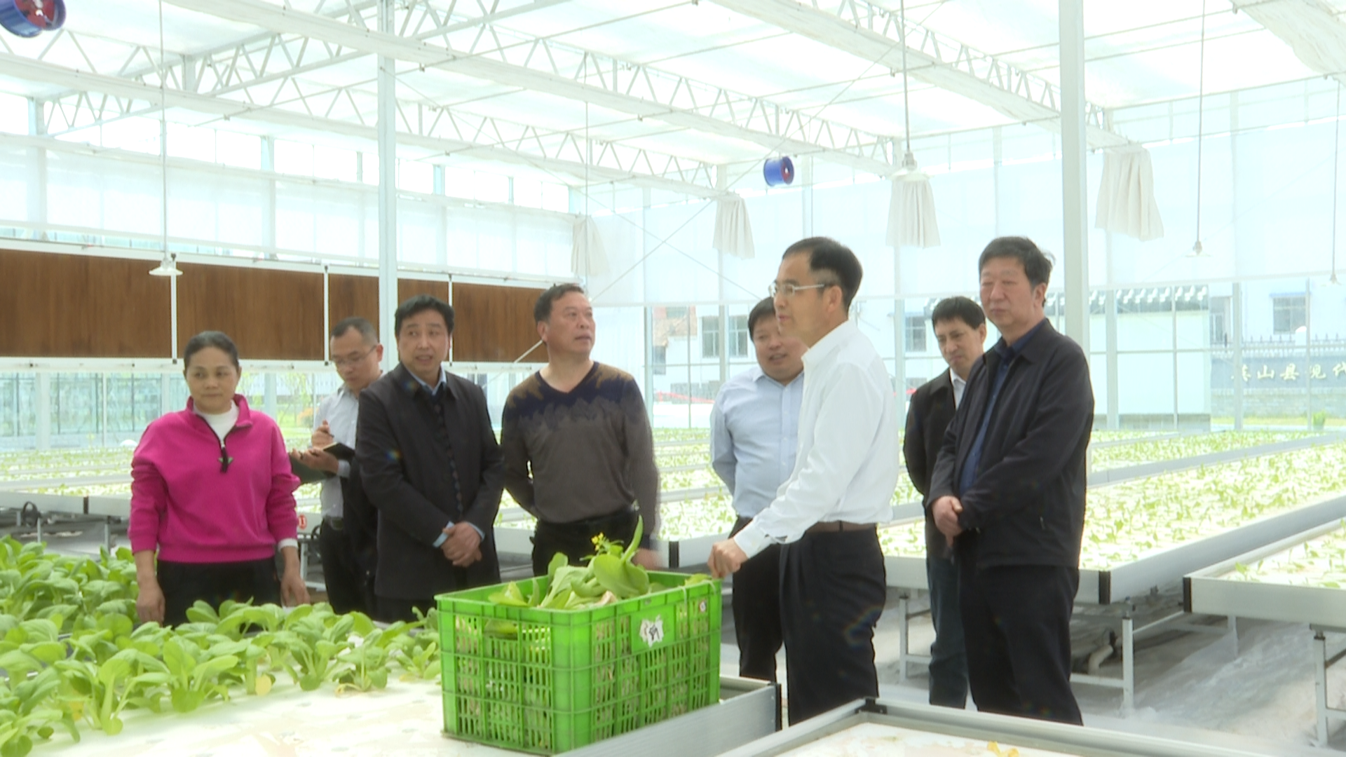 张社教来英山县调研现代中医药产业链建设