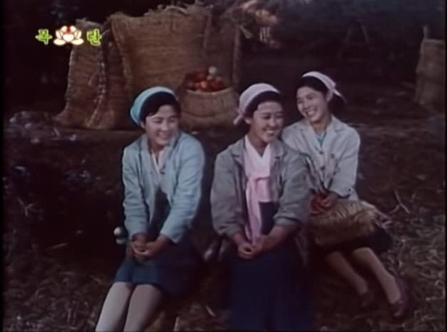 朝鲜影片《摘苹果的时候》当年受到热捧,片中姑娘羞容迷倒观众
