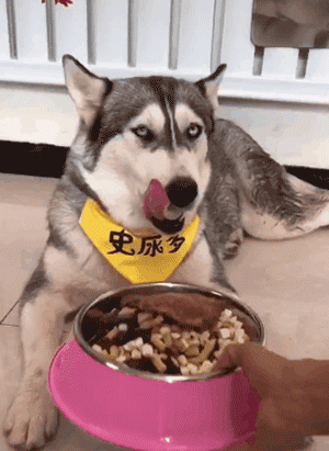 300_411竖版 竖屏gif 动态图 动图