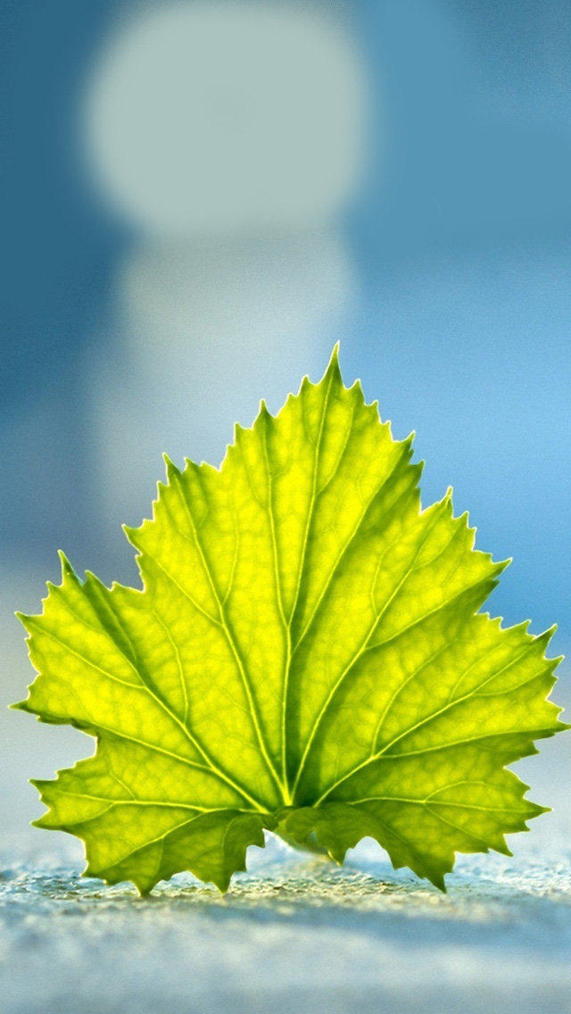 人到五十,不要随便跟人暴露这三件事,守住秘密就是守住幸福