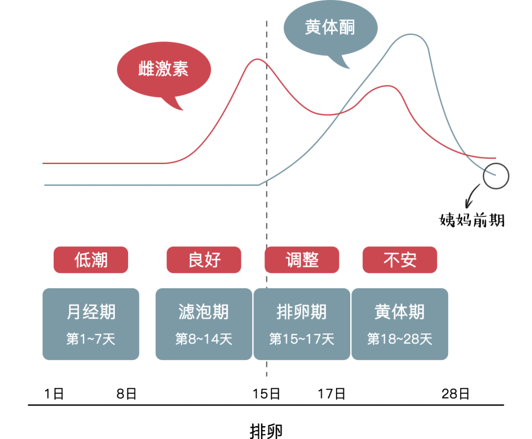 荷尔蒙旺盛的女人