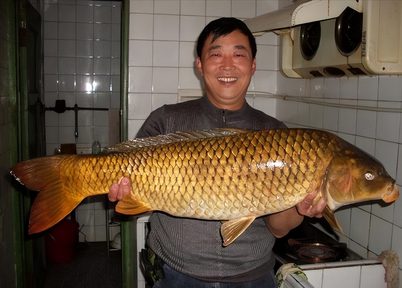 小伙在水库捕获了100斤鲤鱼,长达60厘米,后来怎么处理了?