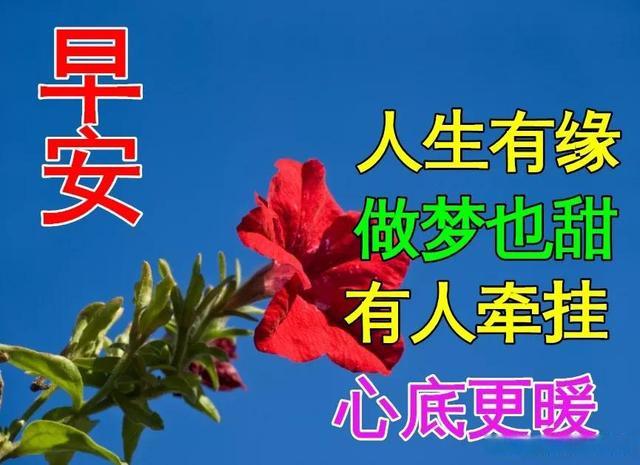 最新早上好动态表情图片大全