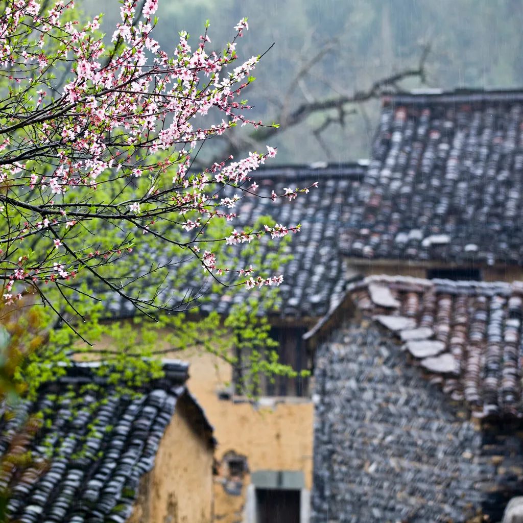 富阳最美古村落图片