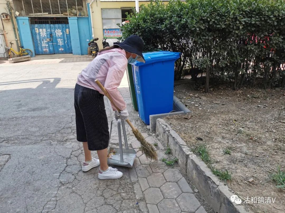 天津选调生贺妍:在磨砺中成长,在奋斗中收获