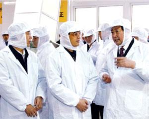 鲁花创始人孙孟全:专注创新,一颗花生"榨"出百亿龙头