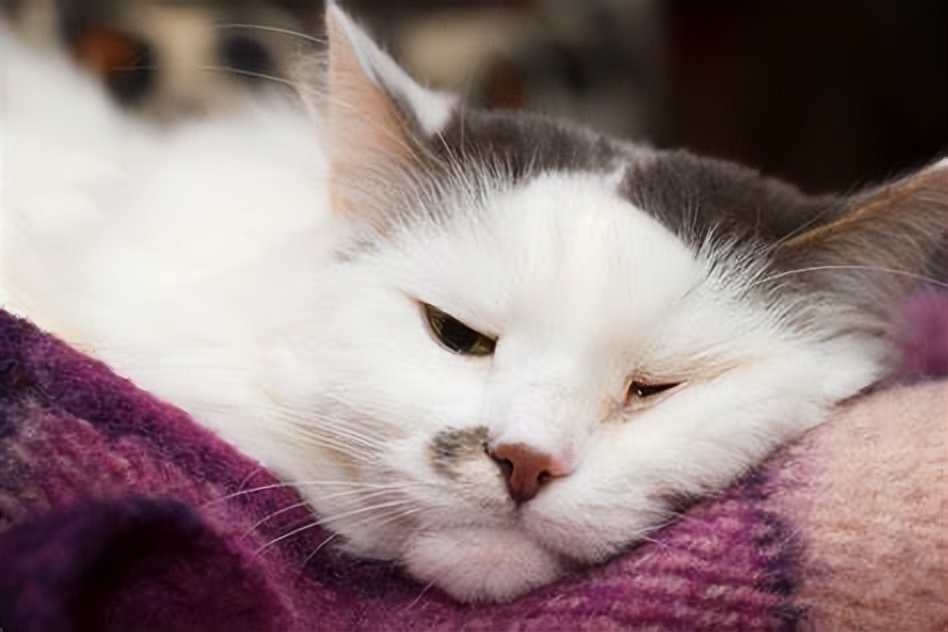 回顾:粉丝冒充外卖员入室,7次侵犯生理期主播,事后还索要2000