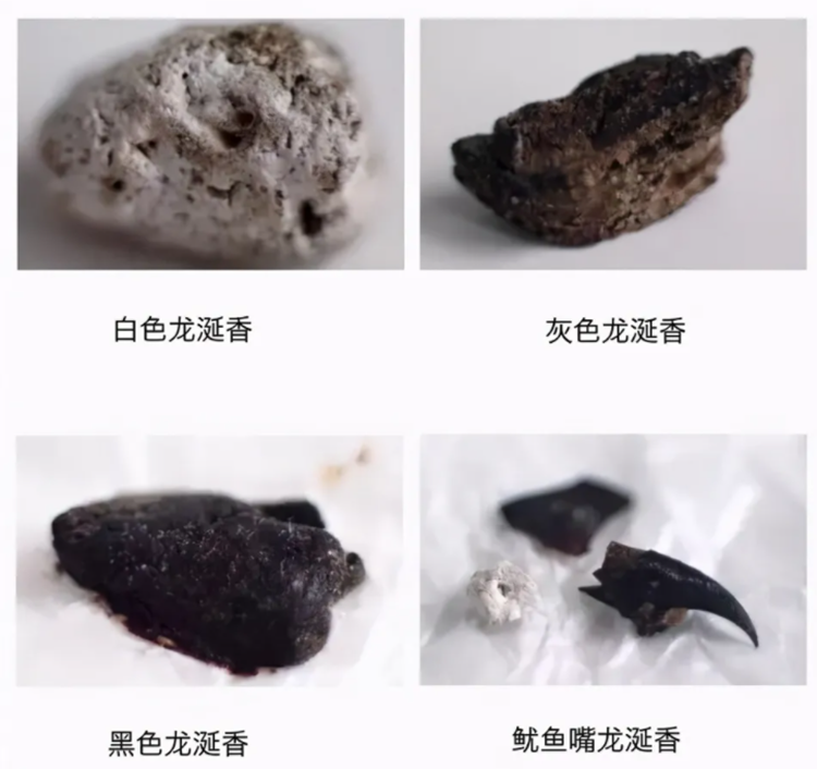 2014年男子海滩捡一块石头妻子真臭扔了它结果价值近百万