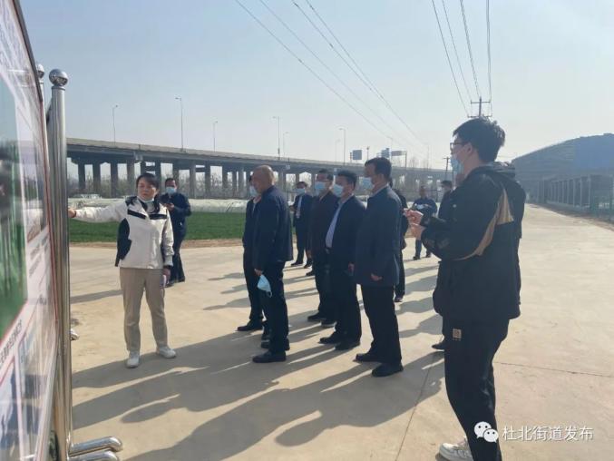 市政府副市长管云天到新华区督导检查西柏坡高速沿线环境整治