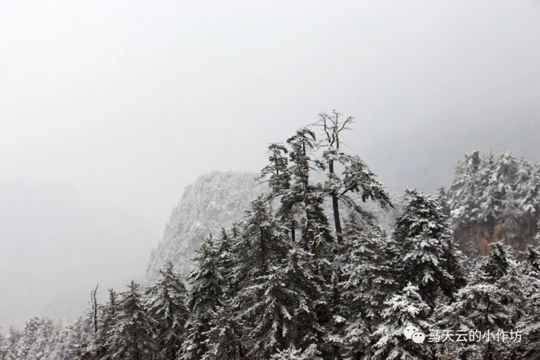 图胜千言|雪落贵清山