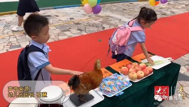 |开学第一天摸鸡、摸大葱？山东这个幼儿园画风有点可爱