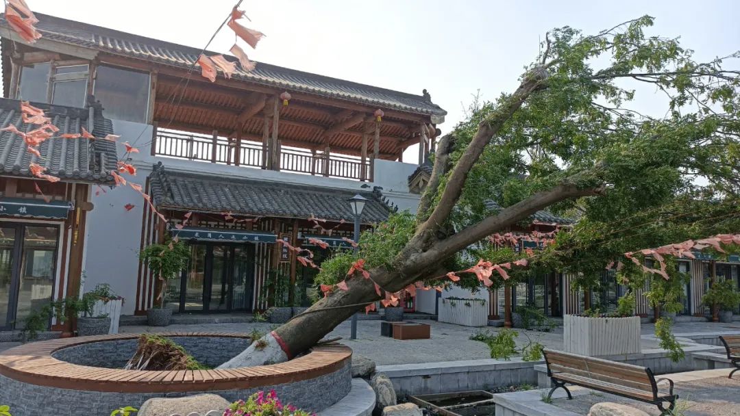 龙岗人文小镇景区开展"大抢修 大排查 大培训 大练兵 "活动