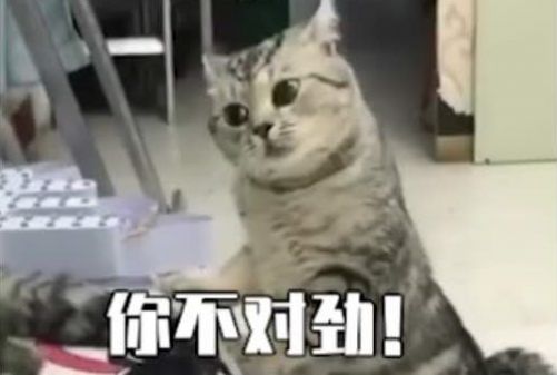 「最远的距离63·上」蓝曦臣笑问:"看到我,是不是失望了?