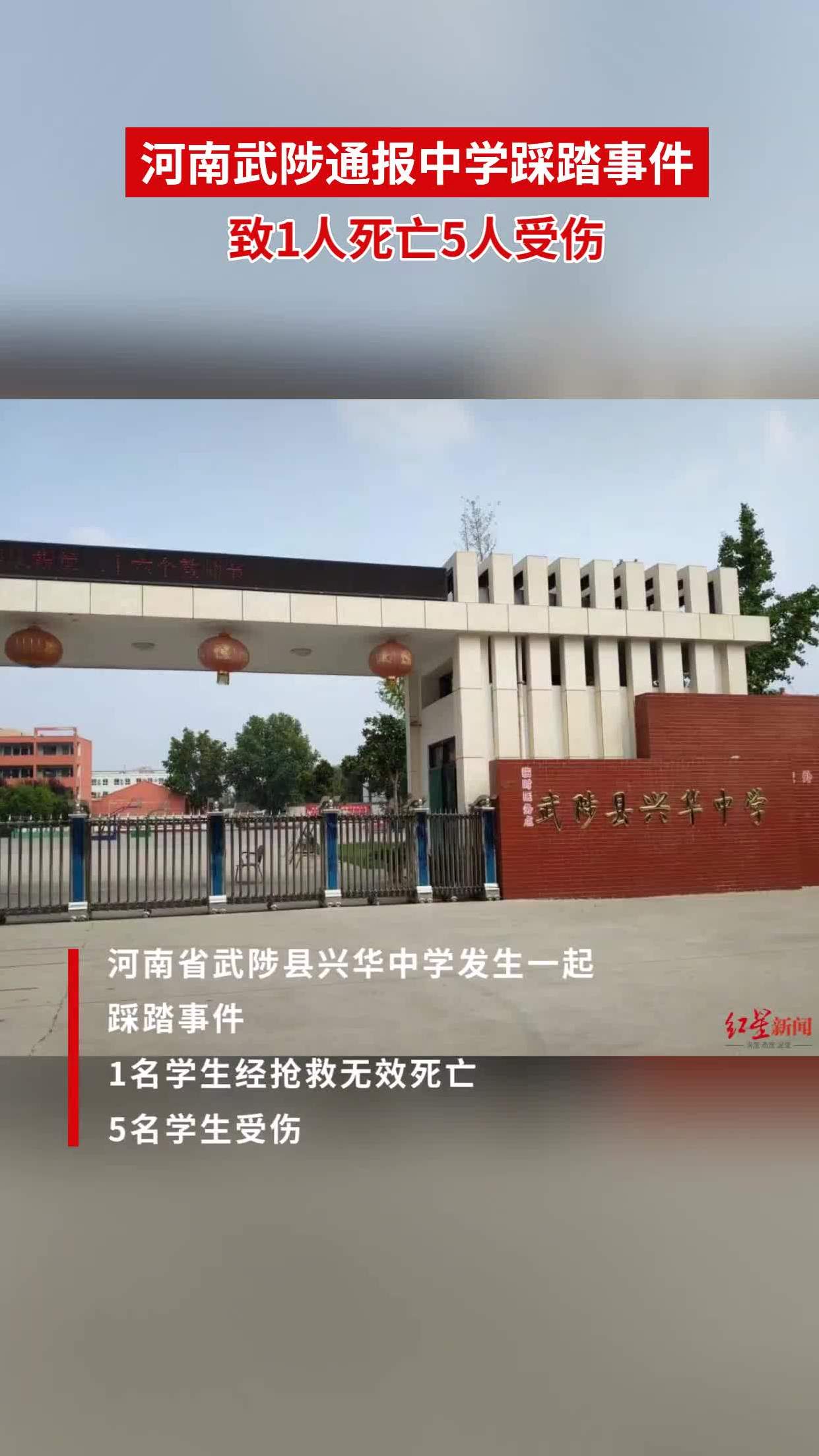 武陟实验中学校长张欣图片