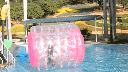 在樱花盛放,漫天粉雪中,一起来中山坦洲快活谷乐园游玩吧