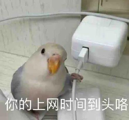 黑猫厨房:传说中和绵羊料理并列美食区,两大搞笑女?