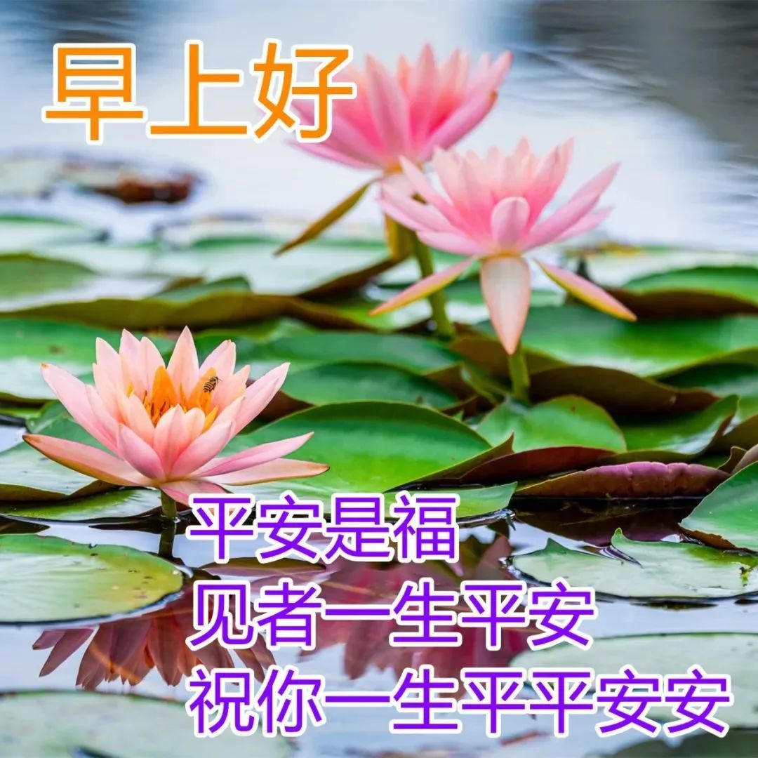 早春问安图片图片