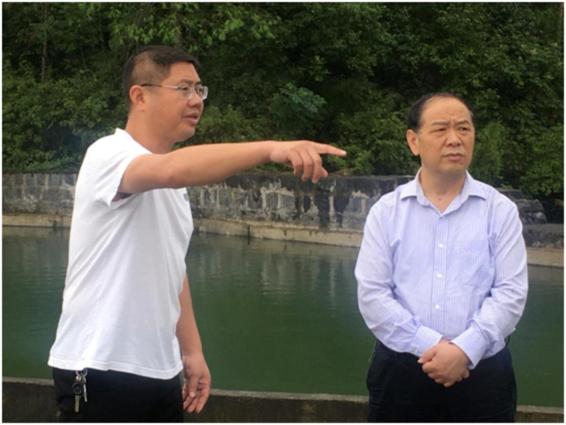 谭精益深入回龙寺镇实地督导生态环境保护等工作