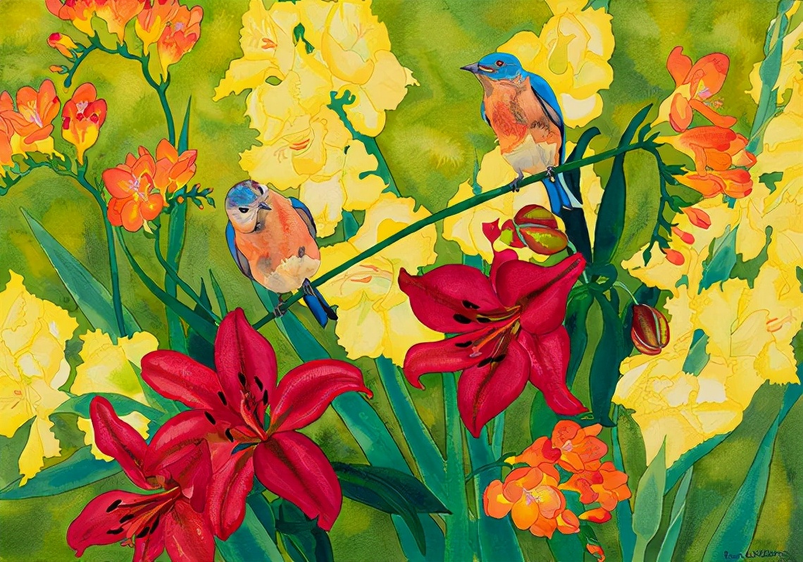 跳跃的色彩,erin williams的花鸟水彩作品