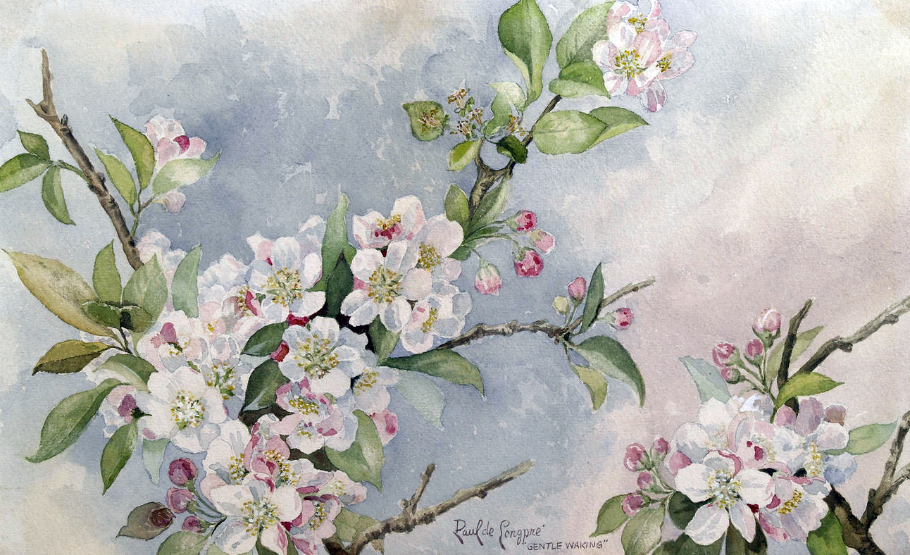 格调素雅又不失娇艳的花卉油画︱拉乌尔·莫夏·德·龙佩的绘画作品