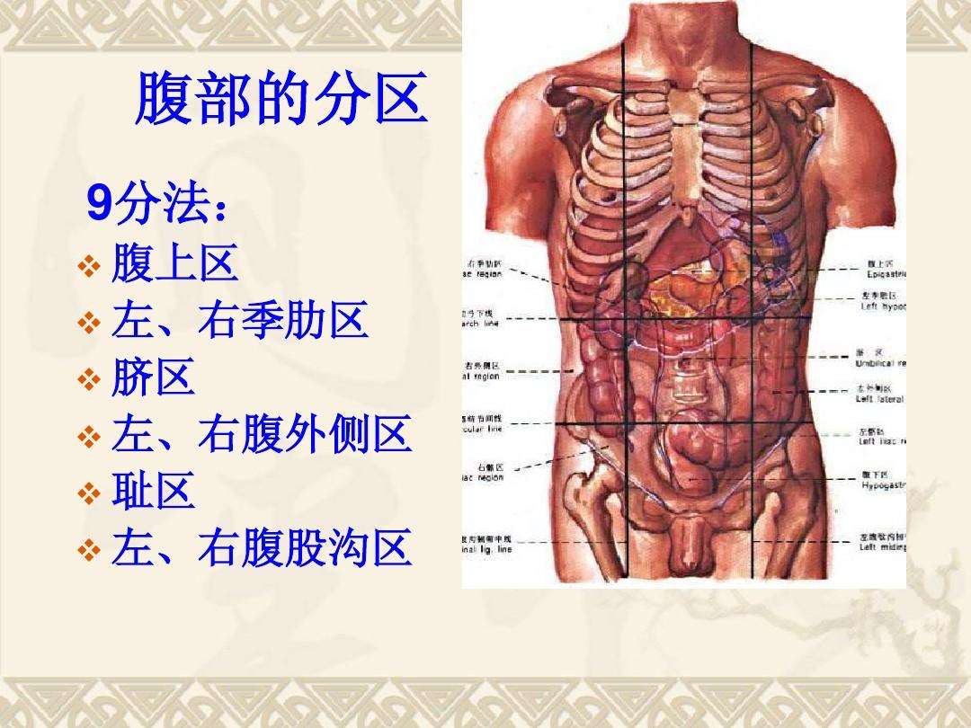 不同部位的腹痛预示着不同的疾病