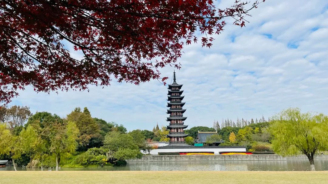 快来!方塔园的最美秋色已上线!