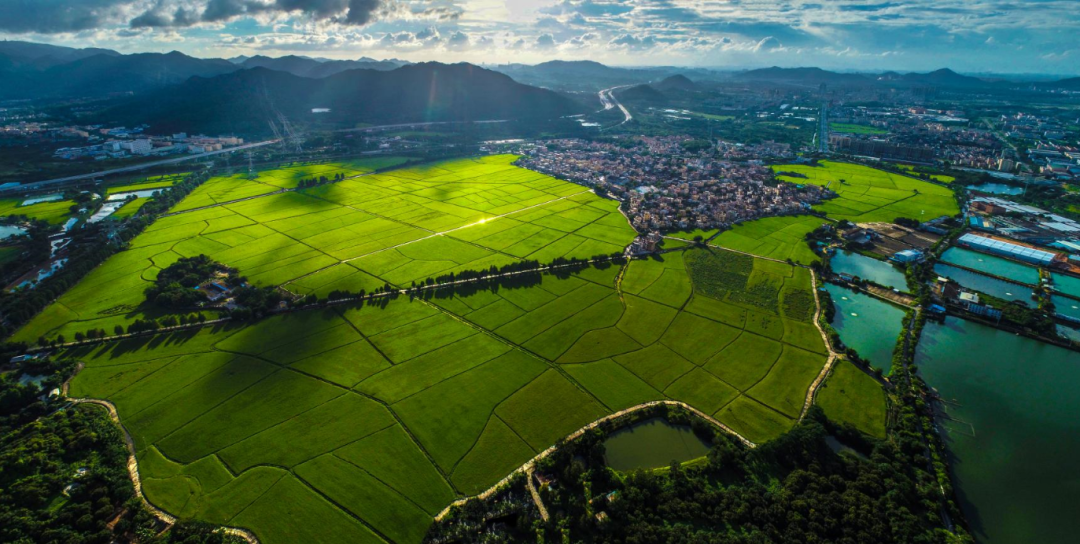 假日乡村行来南朗!绿意 惬意 诗情画意