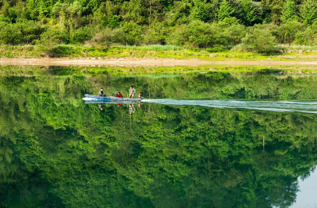 临安柳溪江:一江秋色江南岸,十里恍然忘人间
