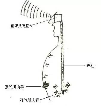 学会"面罩唱法",迅速解决您多年的练声困惑!