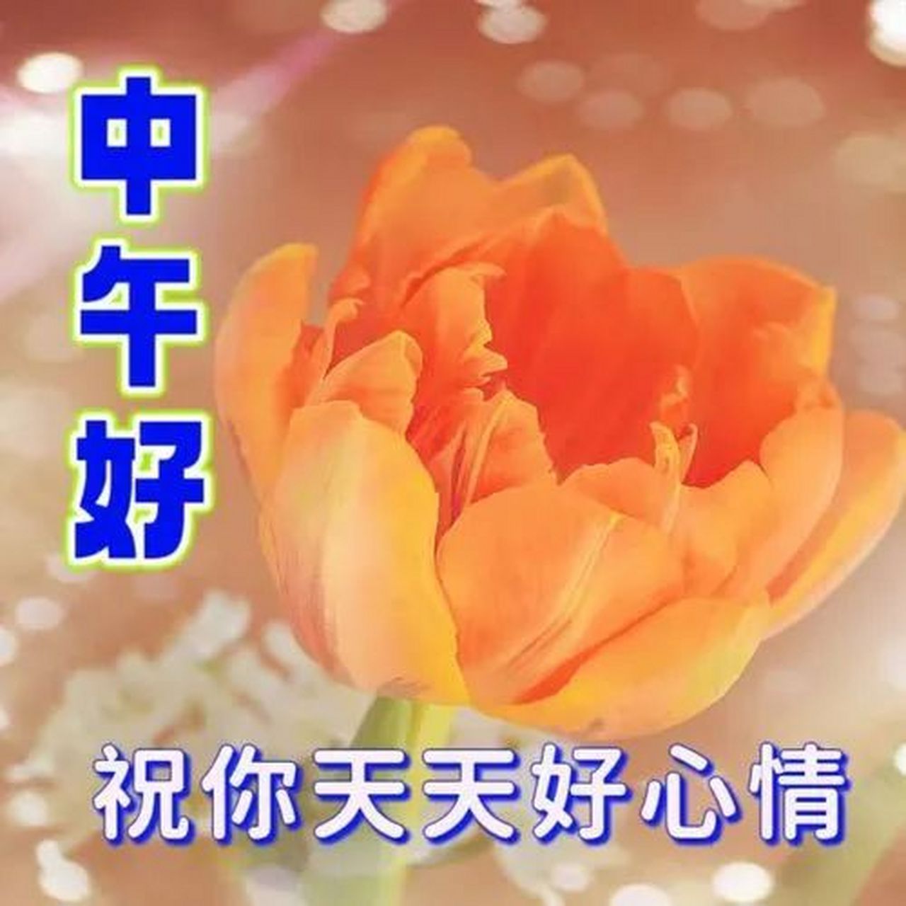 中午好,午安问候句子 中午好,该休息的时候要休息,该放松的时候要放松