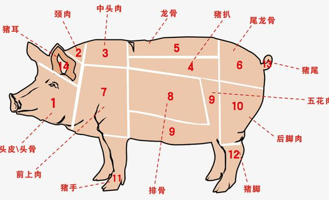 猪身上的5个部位,医生建议少吃,大肠排最后,榜首或多数人爱吃