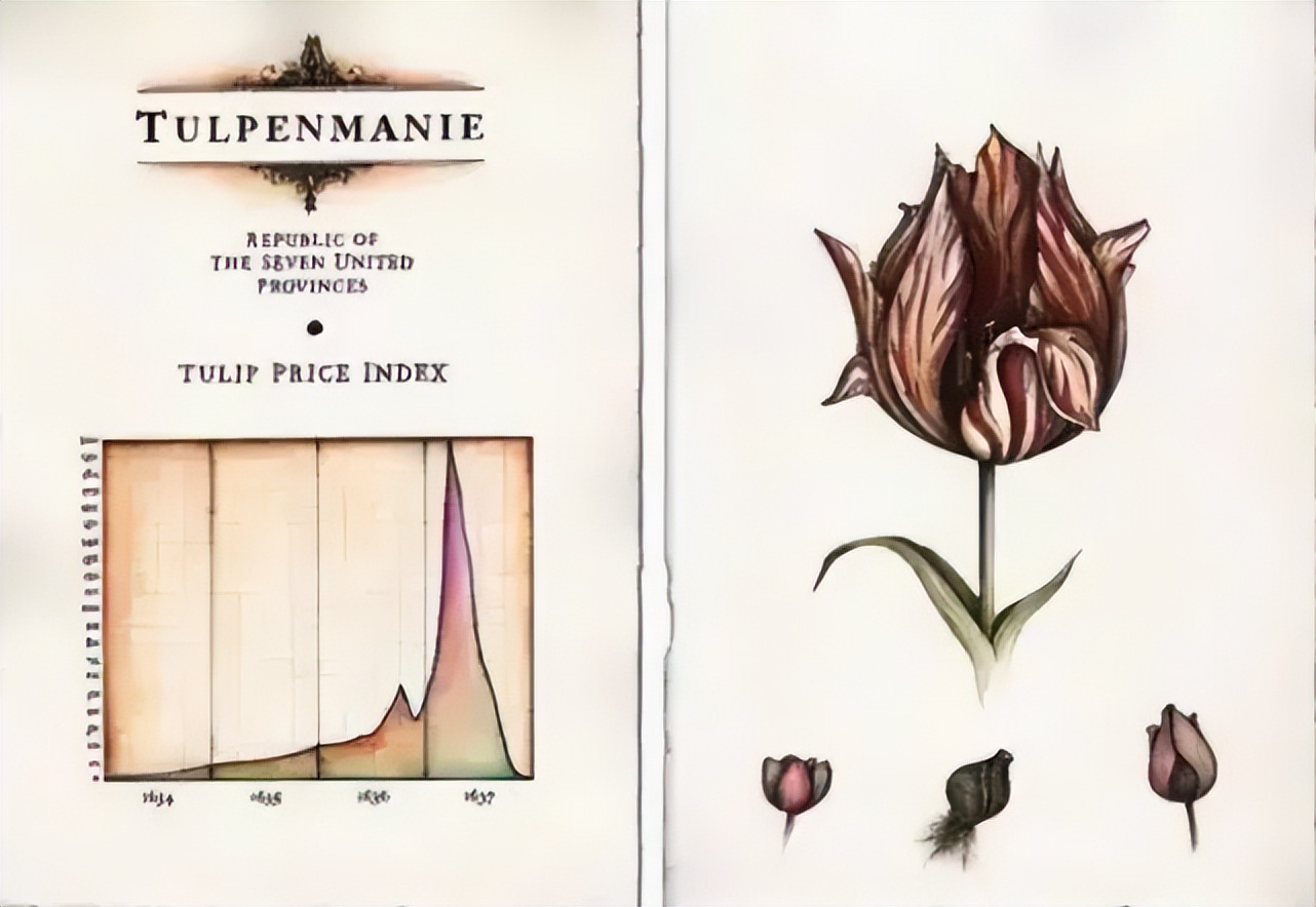 荷兰"郁金香泡沫":美梦破灭时,无数人倾家荡产