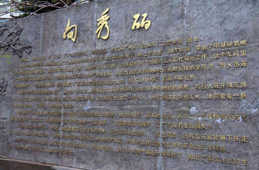 回顾向秀丽唯一的儿子母亲牺牲时还不足2岁现在过得怎样