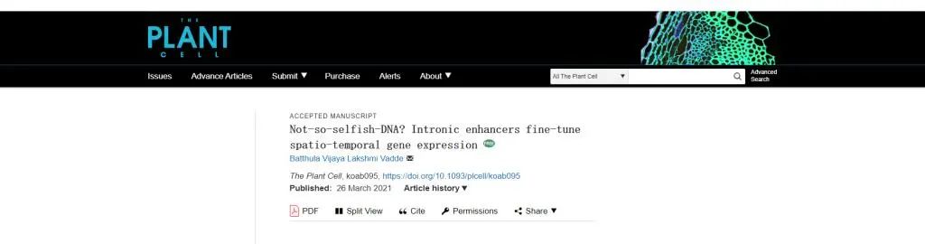 东北农业大学孟凡立教授在《the plant cell》发文!
